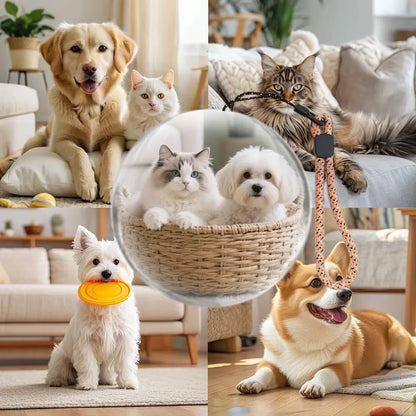 3D Video Kristal Küre: Kişiselleştirilebilir Anı Sanatı ve Elektronik Video Oynatıcı - Winter dream